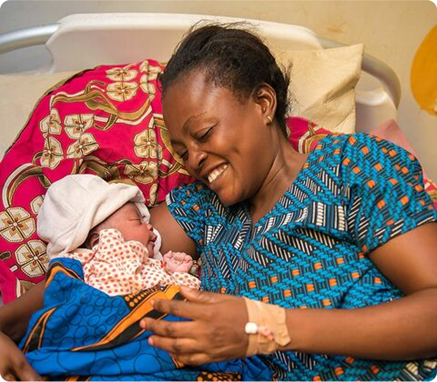 illustration-mushroom